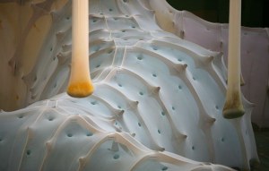 Ernesto Neto at the Armory - The New York Times > Arts > Slide Show > Slide 17 of 21